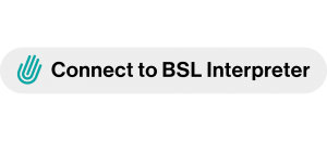 Connect to BSL Interpreter
